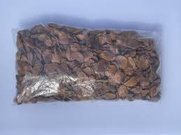 Image result for Hunteria umbellata