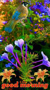 Check spelling or type a new query. Pin By Shereen Madgashqar On Good Morning Beautiful Birds Beautiful Flowers Beautiful Rose Flowers