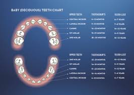 Baby Teething When It Starts Signs And Relief Crest