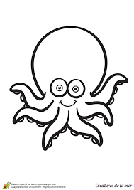 Creatures De La Mer La Pieuvre Page 5 Sur 12 Sur Hugolescargot Com Coloriage Pieuvre Dessin Coloriage Facile