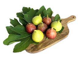 Pany (approved product purchase list) and local purchase at institution al. Fresh Fruits Mutiara Figs