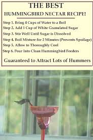 Mix 1 part sugar with 4 parts water (for example, 1 cup of sugar with 4 cups of water) until the sugar is dissolved. Best Hummingbird Water Recipe Recipes