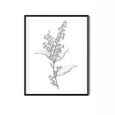 Pin By The Corner Stationery On The Gift Flower Prints Art Floral Illustration Art Original Ink Drawing