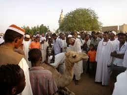 More for magical beat explore more games and downloadable content for. Witnessing A Camel Sacrifice In A Mosque In Khartoum Sudan