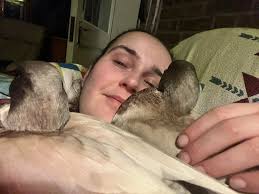 struggling with holiday season after loss