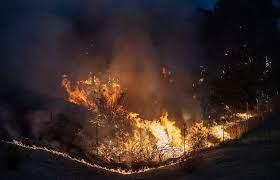 Central coast vna and hospice, inc (home health center, about 12 miles away; Some Residents Shot Down Burn That Could Have Mitigated Carmel Fire