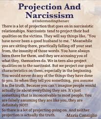 Narcissist Narcissisticabuse Narcissisticpersonalitydisorder Narcissisticsociopath Narsissism Femalenarci Emotional Vampire Narcissistic Abuse Narcissism