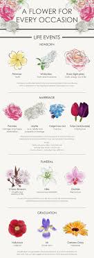 A Flower For Every Occasion Your Complete Guide Flower Meanings Trendy Flowers Language Of Flowers