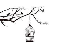 Freedom To Live Is Everyone S Right Web Development Design Web Design Mobile Web Design