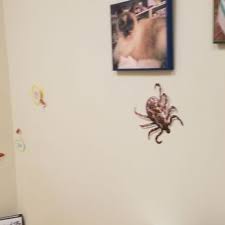 Physicians & surgeons, family medicine & general practice physicians & surgeons, public health physicians & surgeons. Pet Health Center Of Tiffin 13 Photos Veterinarians 1400 Tall Grass Ave Tiffin Ia Phone Number