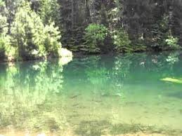 We did not find results for: Spectacular Trout Pond Youtube