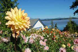 When the phones go out of range, that's when the good livin' happens. Exploring Hood Canal In The Spring Thurstontalk