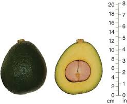 Image result for Avocado Base 1983 Crown