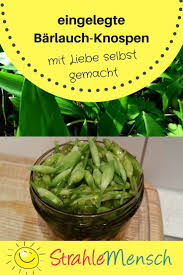 Barlauch Kapern Strahlemensch Barlauch Rezepte Rezepte Mit Lauch Barlauch