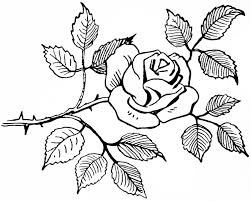Black And White Line Art Plant Clipart Old Design Shop Free Digital Image Black And White Rose Clipart Clip Art Vintage Rose Sketch Flower Drawing