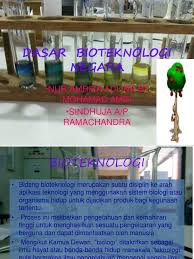 Untuk bisa meningkatkan keberhasilan sebuah negara dalam bidang ekonomi, maka negara tersebut harus mengupayakan pembangunan ekonomi yang maksimal. Dasar Bioteknologi Negara