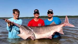 Daftar harga paddlefish terbaru juli 2021. Remaja Pancing Ikan Paddlefish Terbesar Di Dunia Kosmo Digital