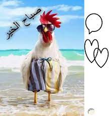 كلام مضحك عن الأصدقاء فيس بوك، يعد الفيس بوك أكبر وأشهر منصات التواصل الاجتماعي، حيث يضم ملايين المستخدمين في الوطن العربي وخارجه، ويمكن قضاء الوقت في استخدامه من خلال نشر وكتابة المنشورات والتفاعل مع الأصدقاء. ØµÙˆØ± ØªØ­ÙŠØ§Øª Ù…Ø¶Ø­ÙƒØ© ÙˆÙ…ØªÙ†ÙˆØ¹Ø© Ù„Ù„Ø£ØµØ¯Ù‚Ø§Ø¡ Ø¹Ù„ÙŠ Ø§Ù„ÙÙŠØ³