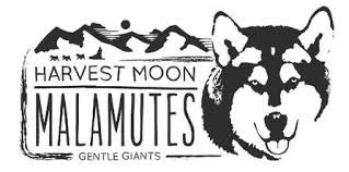 If you like one or more of our alaskan malamute puppies for sale above, feel free to visit their profile pages. Harvest Moon Malamutes Breeder Malamute Puppies