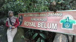 Ibrahim beetle fauna of taman negeri diraja belum fauziah abdullah, suwati mat /sa, ibnu sina, kamarulnizam shamsulaman, & fatmahjihan fauzee. I M Muslim And A Backpacker Traveler Basah Kering Di Royal Belum