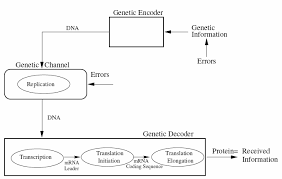 Image result for Science Math Applications Communication Theory Coding Theory