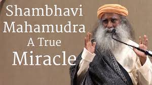 We did not find results for: Shambhavi Mahamudra A True Miracle Sadhguru Youtube
