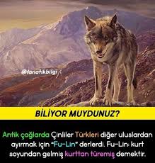 Erenay Adli Kullanicinin Turk Panosundaki Pin 2020 Biliyor Muydunuz Kitap Kenari Bilgi Alintilari