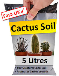 As its name implies, the. Cactus Potting Soil Pure Grow Aloe Cacti Succulent Compost 5l 5 Litres Ebay
