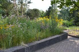 Botanischer Garten Dusseldorf