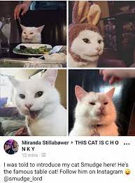 Smudge The Cat Know Your Meme