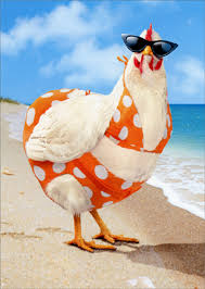 Avanti Press Avanti Press Bikini Chicken Funny Humorous Feminine Birthday Card For Her Woman Walmart Com Walmart Com Most chickens are friendly and quite smart (for example, they. avanti press avanti press bikini chicken funny humorous feminine birthday card for her woman walmart com