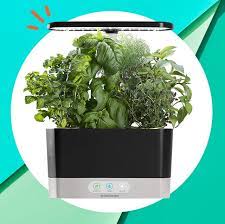 These indoor herb gardens will not only bring fresh flavours to your meals, but also get you motivated and inspired to try a new hobby in these times of for many busy urbanites, growing your own herbs might feel like a daunting task: 8 Best Indoor Hydroponic Garden Kits For Growing Food At Home