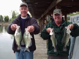 Maybe you would like to learn more about one of these? Fishing Big Bear Resort Kentucky Lake Fishing