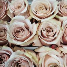 Para que su casamiento cuente con un toque romántico especial pueden disponer de los servicios de stefa flores florería. United Wholesale Flowers Home Facebook