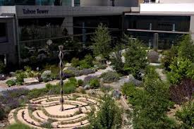 Our plants, trees and shrubs are specifically grown for our high desert climate & soil. Landscaping Ideas Reno Landscaping Network
