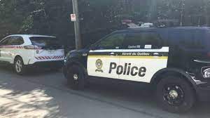 Aux mannettes diddy s., mic down vous avez demandé la police ? C O B P Collectif Oppose A La Brutalite Policiere Br Collective Opposed To Police Brutality