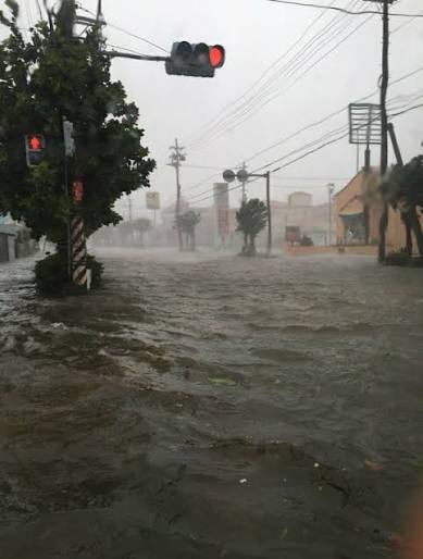 Typhoon Dolphin to Approach Okinawa Island on Friday https://japannews.yomiuri.co.jp/society/general-news/20260805-341840/