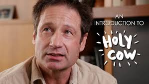 David Duchovny