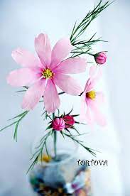 Tortova Tortova S Photos Facebook Cold Porcelain Flowers Flower Spray Paper Flowers