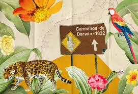 Projeto EcoArte apresenta Caminho de Darwin - O Prelo