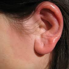 Image result for erysipel photos)