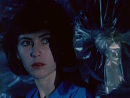 The Beaches of Agnès