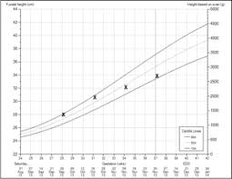 Fundal Measurments At 31 Weeks October 2014 Babies