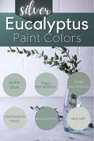 Eucalyptus Green Colors For 2025