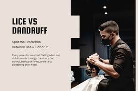 Image result for lice vs dandruff