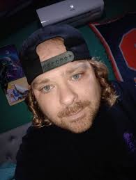 How to treat spider mites