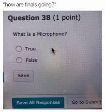 Torrent Downloads Download Free Torrents Funny Memes Funny Tweets Hilarious