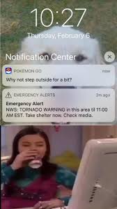 Australia, 5 things fans should know one match left for the americans in the group stage and another familiar opponent stands in the way of a knockout stage berth. The Rise Of Pokemon Go Memes