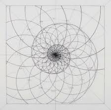 Venezuelan Artist Rafael Araujo Creates Meticulously Detailed Drawings Of The Fibonacci Spiral In Nature Now Geometry Art Sacred Geometry Art Geometric Drawing