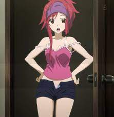 Infinite stratos ran